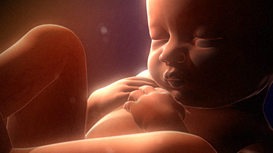 Bayi Dalam perut Ibu