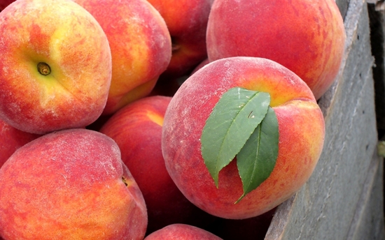 Manfaat buah peach