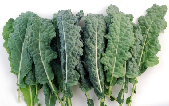 manfaat sayuran kale