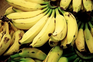 kandungan gizi pisang