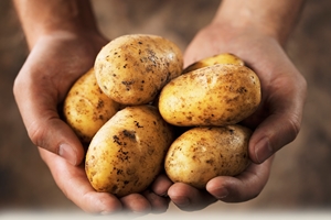 manfaat kecantikan kentang