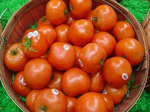 manfaat buah tomat