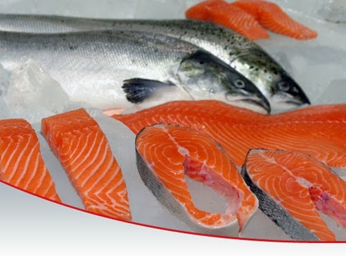 Manfaat Ikan salmon