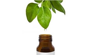 Tea Tree Oil, Dari Penggunaan Hingga Efek Samping