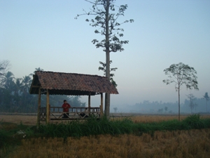 Desa Wisata di sekitar Candi Borobudur