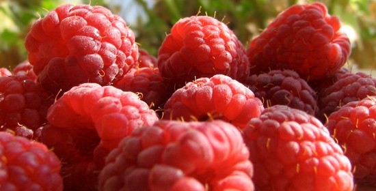 Kandungan Nutrisi Raspberry
