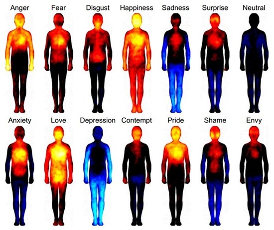 Peta Warna Tubuh Saat Merespon Emosi