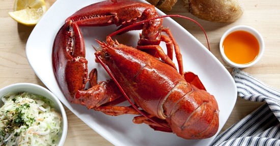 Manfaat Lobster