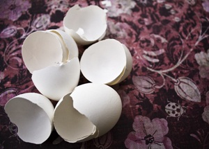 Ide Cemerlang Untuk Memanfaatkan Kulit Telur
